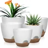 Self Watering Plant Pots