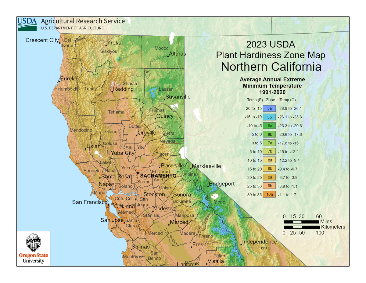 best plants to grow in 93278 (Northern California)