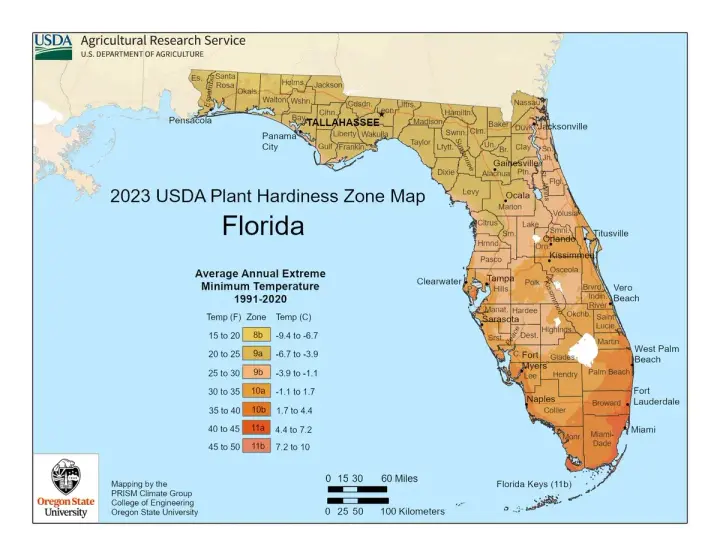 plants by zone map for Sawgrass, FL