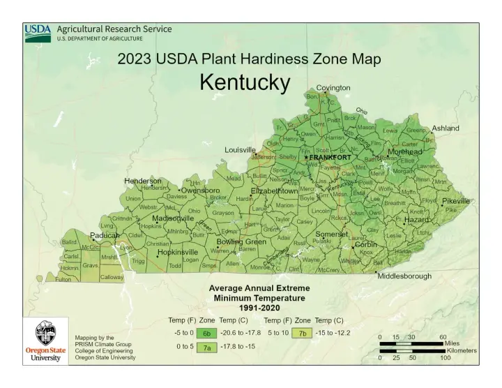 plants by zone map for Wallins Creek, KY