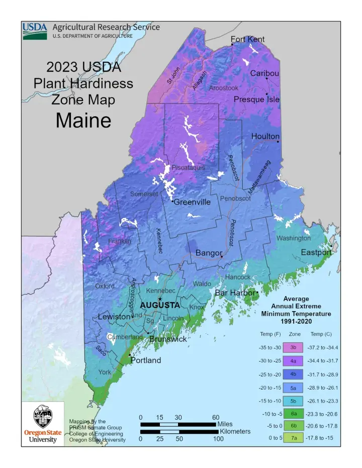 plants by zone map for York Harbor, ME