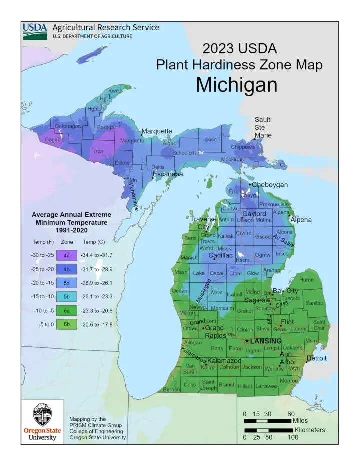 plants by zone map for Atlantic Mine, MI