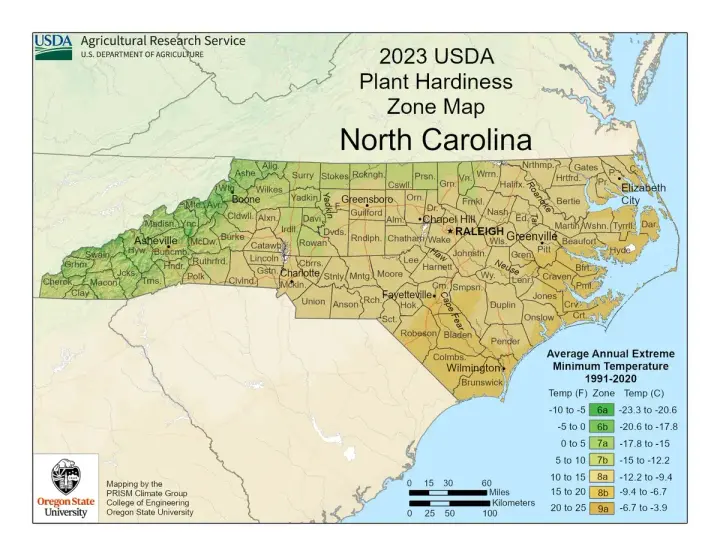 plants by zone map for Stanfield, NC