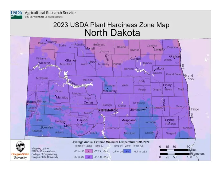 plants by zone map for Braddock, ND