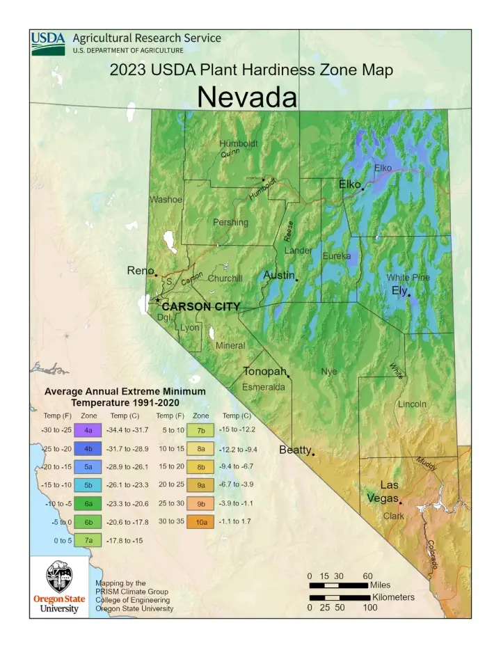 plants by zone map for Osino, NV