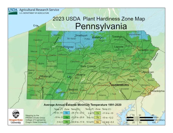 plants by zone map for Oil City, PA
