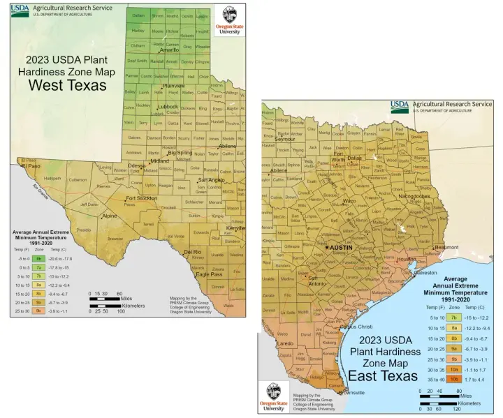 plants by zone map for South Fork Estates, TX