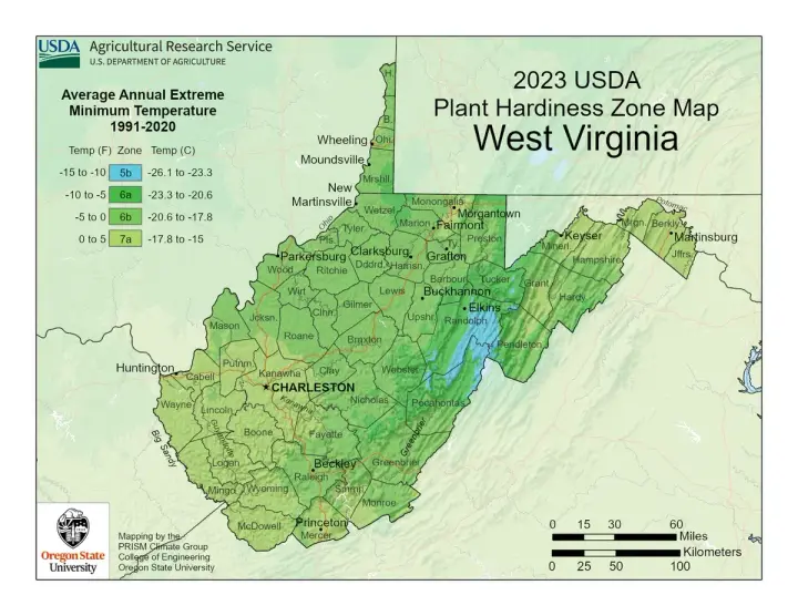 plants by zone map for Earling, WV