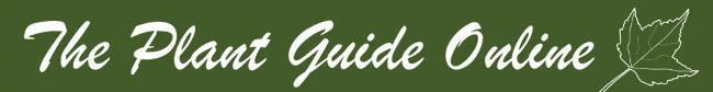 The Plant Guide Online